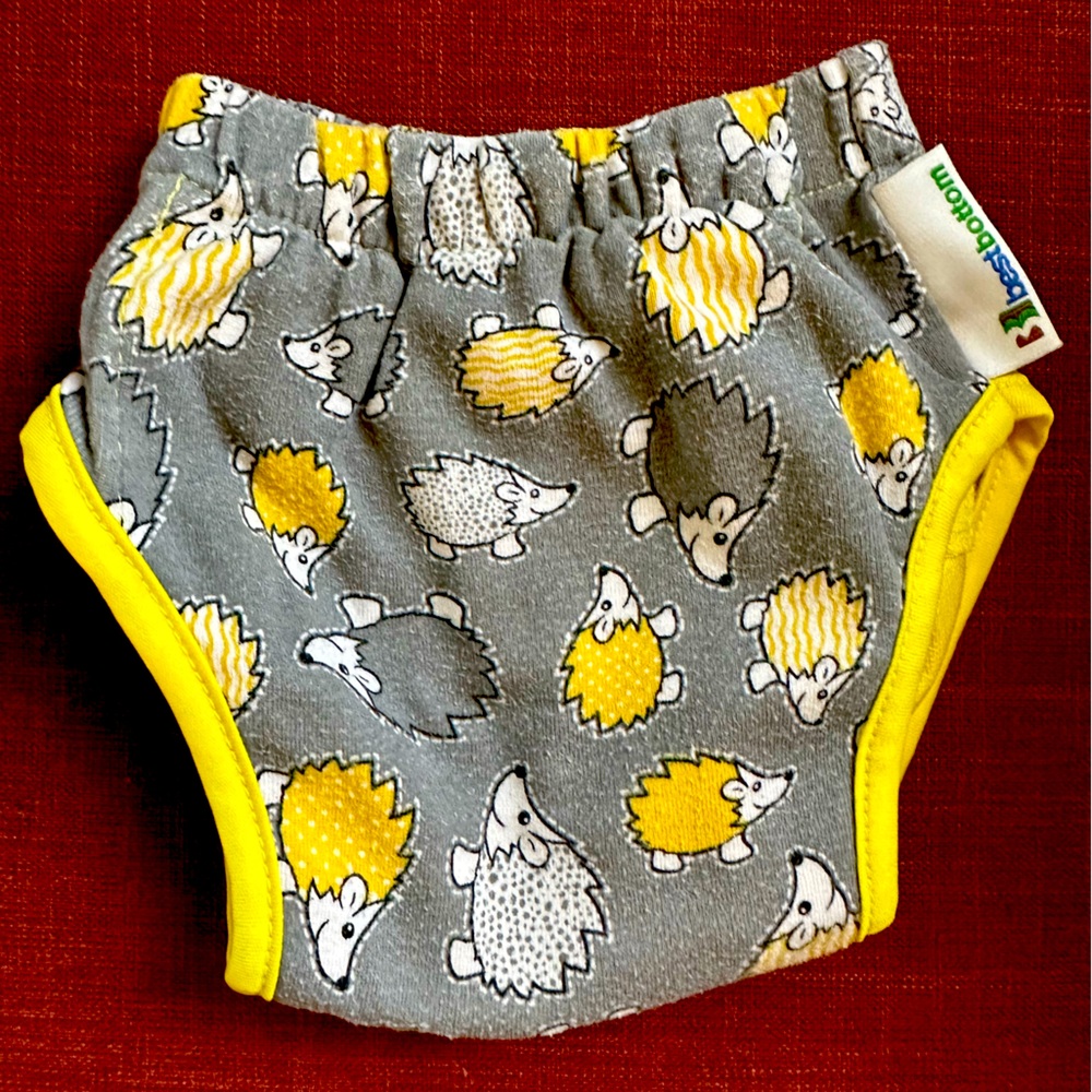 Best bottom training diaper